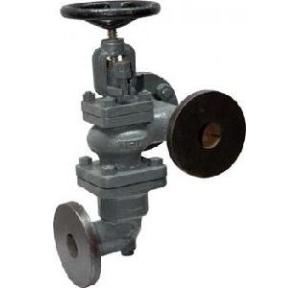 Sant Cast Iron Accessible Feed Check Valve Renewable Disc 65 mm, CI 5C